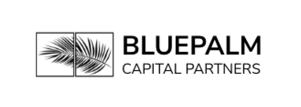 Bluepalm Capital Partners logo